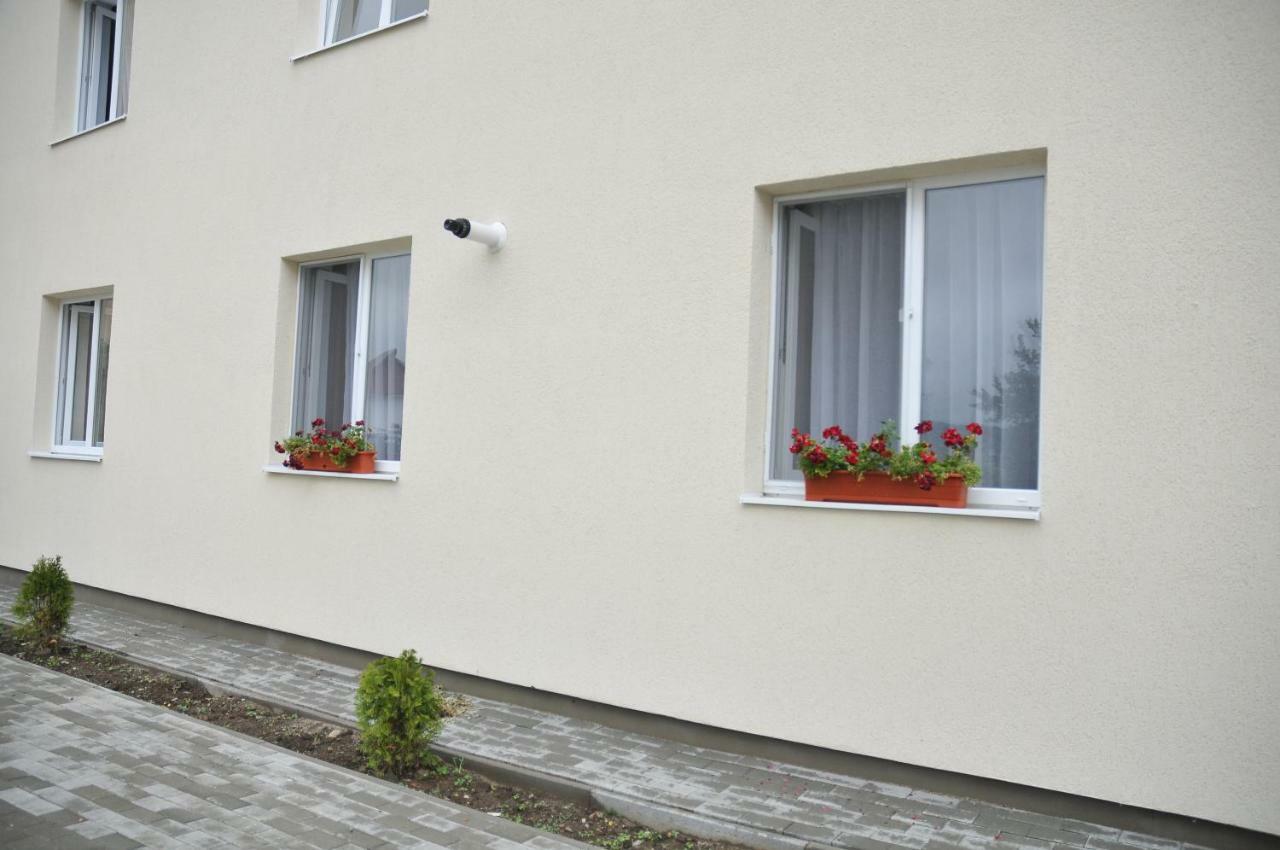 Ana Cristina Apartament Sighişoara Exterior foto