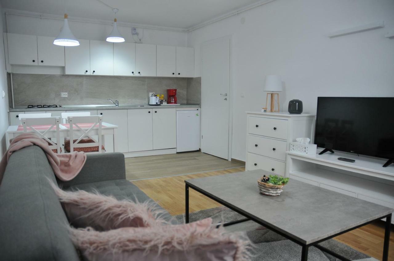 Ana Cristina Apartament Sighişoara Exterior foto