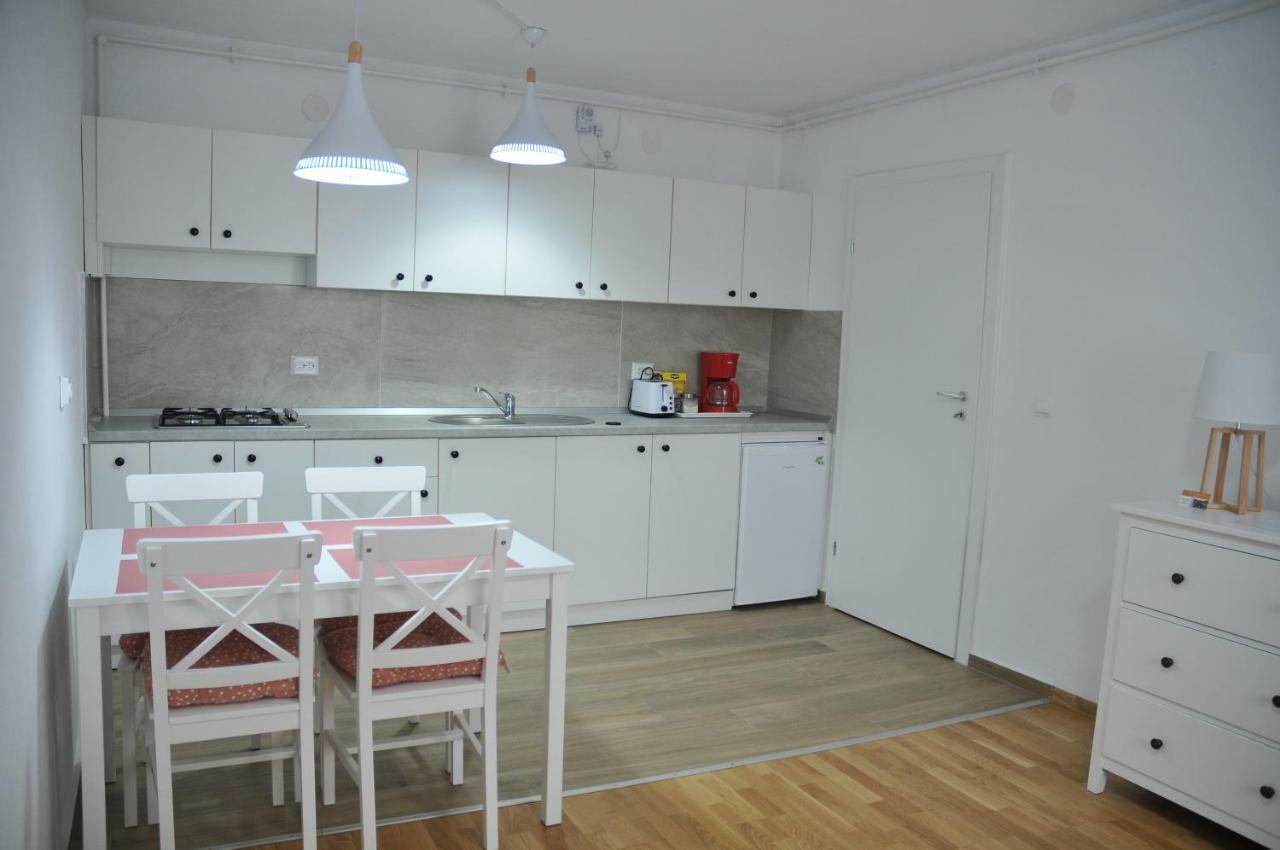 Ana Cristina Apartament Sighişoara Exterior foto